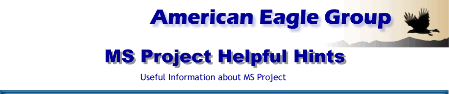 American Eagle Group MS Project Helpful Hints