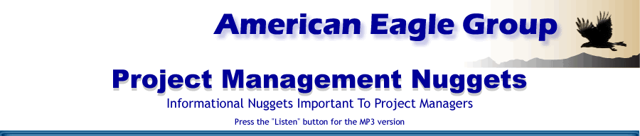 American Eagle Group Project Management Nuggets